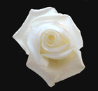 Fleur
