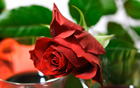 Fleur
