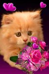 Fleur