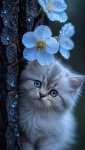 Fleur