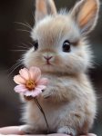 Fleur