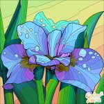 Fleur