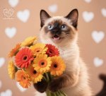 Fleur