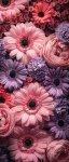 Fleur
