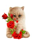 Fleur