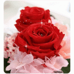 Fleur