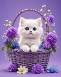 Fleur