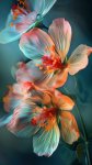 Fleur