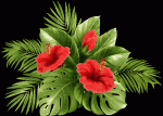 Fleur