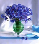 Fleur