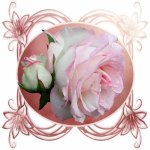 Fleur