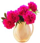 Fleur