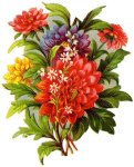 Fleur