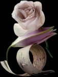 Fleur