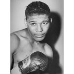 Sugar Ray Robinson